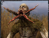 S.T.A.L.K.E.R.: Чистое Небо - Мутанты игры S.T.A.L.K.E.R. - вошедшие и вырезанные S.T.A.L.K.E.R.: Чистое Небо - Мутанты игры S.T.A.L.K.E.R. - вошедшие и вырезанные
